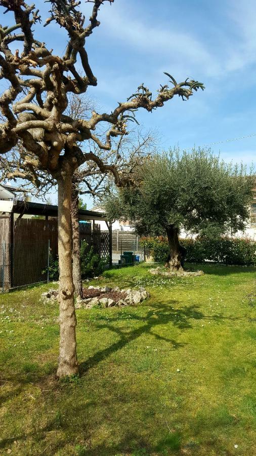 Villa Bracci Molinaccio Eksteriør bilde
